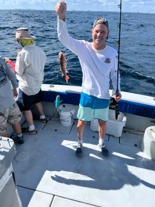 Mutton Snapper