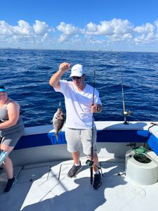 Porgy