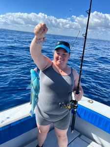 Blue Parrotfish