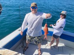 Red Snapper Fishing in Palm Beach, FL