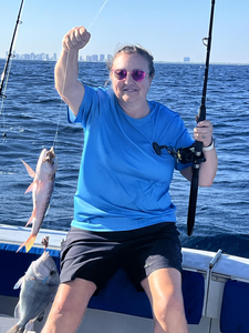 Fresh Jolthead Porgy caught off Palm Beach waters!