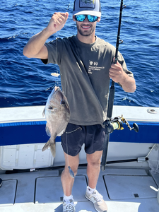 Nice jolthead porgy using deep sea trolling techniques in partly cloudy conditions!