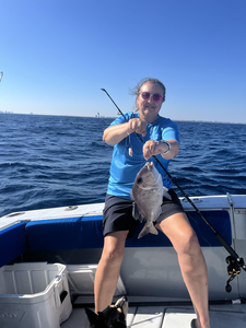 Fresh Jolthead Porgy caught in Palm Beach waters!