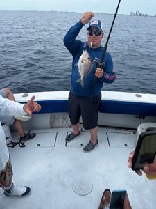 Jolthead porgy caught during fishing charter in Riviera Beach FL