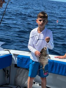 Jolthead porgy caught during fishing charter in Riviera Beach Florida