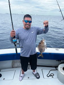 Successful jolthead porgy catch on fishing charter boat in Riviera Beach Florida waters