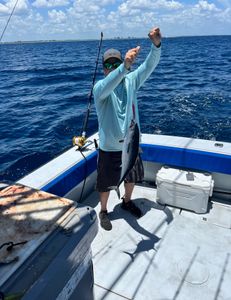 Photograph of a Little Tunny fish caught while fishing in FL