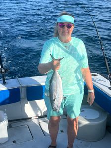 A Little Tunny fish caught while fishing in FL