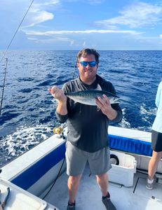 A fisherman holding a little tunny, a species of fish, in FL.