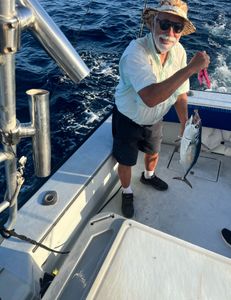 Little Tunny Fish Caught During Fishing Tour in West Palm Beach