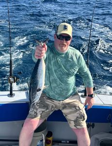 A fisherman with a little tunny fish caught in West Palm Beach.