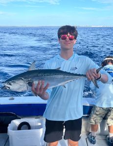 A photo of a Little Tunny, a small type of tuna, caught by a person fishing in West Palm Beach.