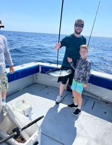 A lone little tunny fish caught in West Palm Beach