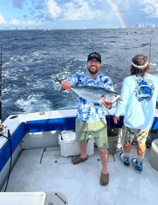 A single Little Tunny fish caught in West Palm Beach