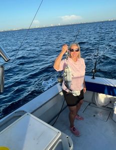 One little tunny fish caught while fishing in West Palm Beach