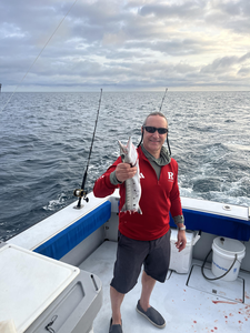 Peaceful day on the open waters, with a few caught.