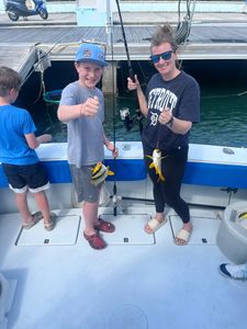 Fishing charter showing caught porkfish on boat in Riviera Beach FL