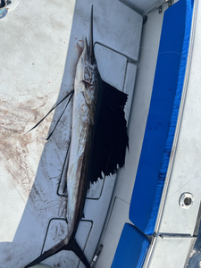 Reeled in a big one!