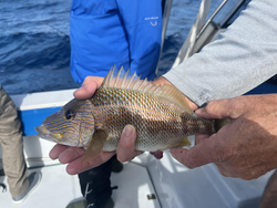 Reeled in a nice catch for the day.