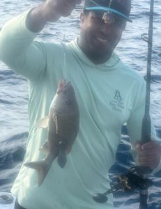 Fishing tour in Riviera Beach