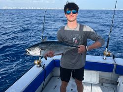Catching a little tunny fish in West Palm Beach