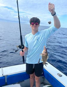 One white grunt fish caught on fishing tour in FL