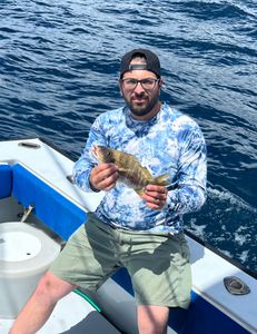 A white grunt fish caught in West Palm Beach