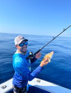 A white grunt fish caught in West Palm Beach