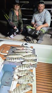 9 sheepshead fish caught while fishing in FL