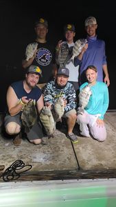 5 black drum fish caught in FL
