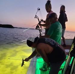 alligator gar bowfishing