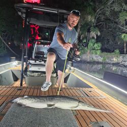 Longnose Gar, 45-inch fish caught while fishing in FL