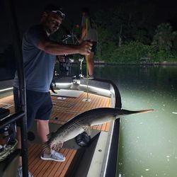 A longnose gar, a 34-inch fish, caught while fishing in Tampa.