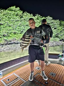 Sheepshead fish caught while fishing in Florida