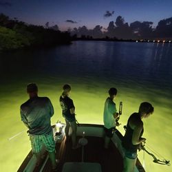 Tampa's premier bowfishing charters await.