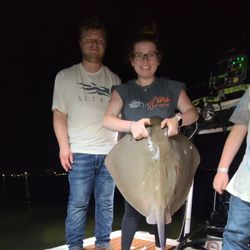 Adventurous night bowfishing in Tampa, Stingray