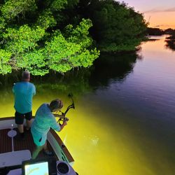 Experience the best bowfishing charters