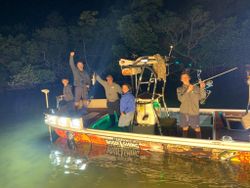 Night bowfishing magic on Tampa's waters