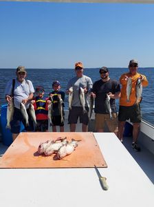 Reel in Adventure Chesapeake Bay, Striped Bass