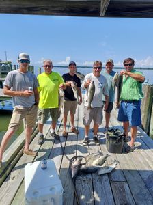 Catch the Thrill of Striper Fishing