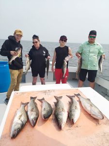 Maryland's Top Fishing Charters