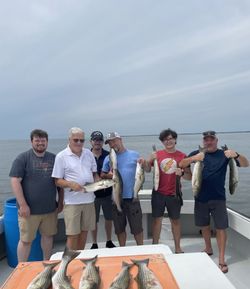 Six blue catfish caught while fishing in Oxford