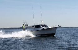 Angler fishing in Oxford