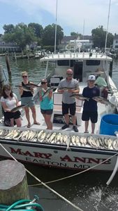 Fishing charter boat with fresh catch displayed on deck in Oxford MD marina