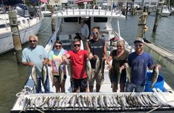 Six bluefish caught during a fishing trip in Oxford