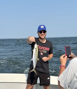 Spanish Mackerel caught while fishing in Oxford