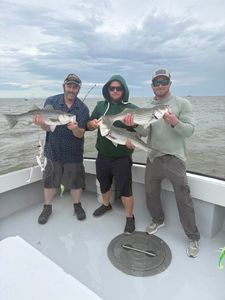 Two striped bass caught in MD