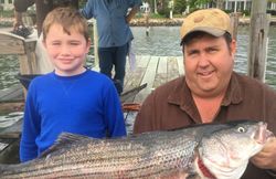 Striped bass fishing in MD