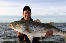 Striped bass caught while fishing in Oxford