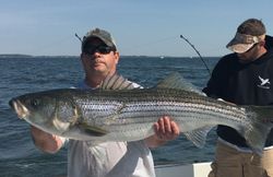 Striped bass caught while fishing in Oxford